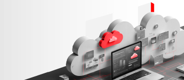 network-as-a-service-thumb.jpg